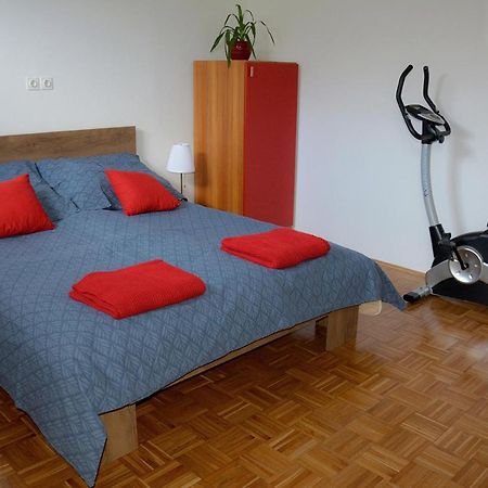 Apartma Vidmar Шенчур Экстерьер фото