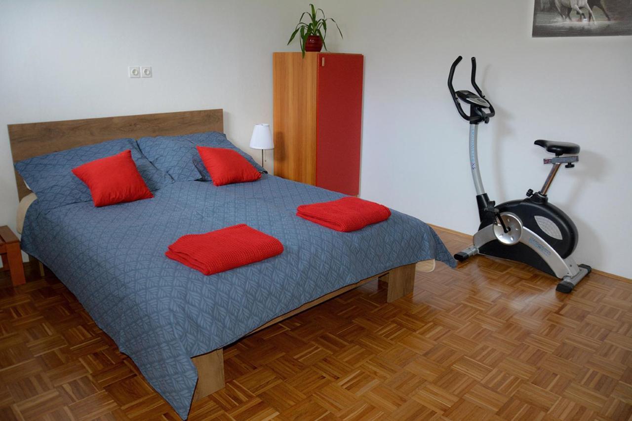 Apartma Vidmar Шенчур Экстерьер фото
